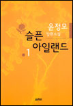 슬픈 아일랜드 1 : 윤정모 장편소설