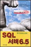 (마이크로소프트)SQL 서버 6.5
