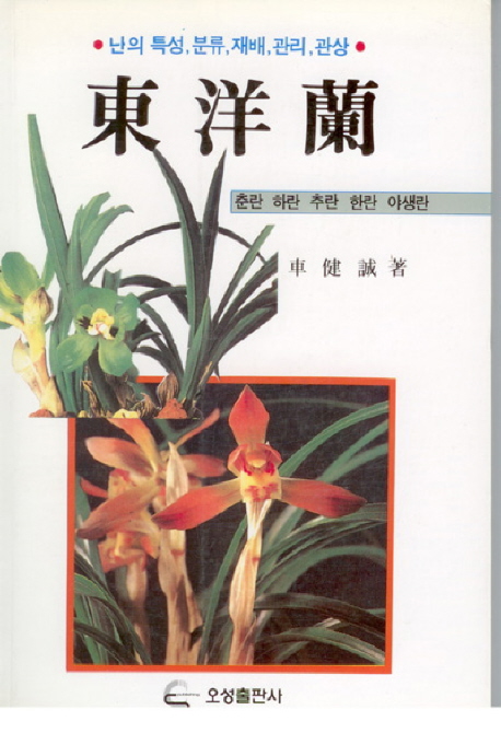 東洋蘭