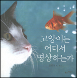 고양이는 어디서 명상하는가