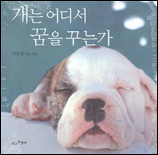 개는 어디서 꿈을 꾸는가