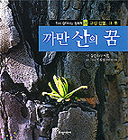 까막산의 꿈 표지 이미지