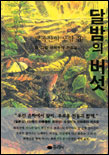 달밤의 버섯