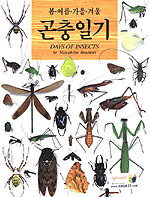 곤충일기