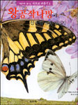 (그림으로 만나는)파브르 곤충기. 1~4 / 쿠마다 치카보 글.그림 ; 김석희 옮김