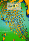 디지털 사진  = Digital photography