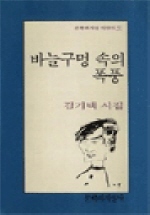 바늘구멍 속의 폭풍 : 김기택 시집 표지 이미지
