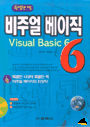 비주얼 베이직6