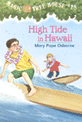 High tide in Hawaii. 28. 28 [AR 3.4]