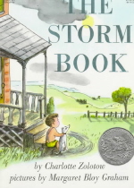 (The)Storm Book