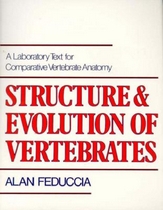 Structure and evolution of vertebrates