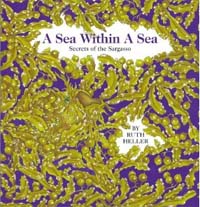 (A)sea within a sea : Secrets of the sargasso