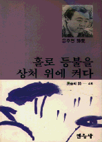 홀로 등불을 상처 위에 켜다
