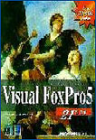 Visual FoxPro 5  : 21일 완성