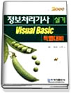 정보처리기사.산업기사(실기)Master Bible Visual Basic : '99