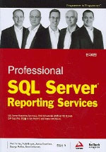 (Professional)SQL Server Reporting Services