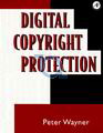 Digital copyright protection / Peter Wayner