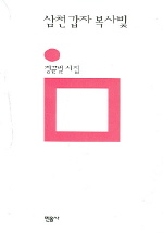 삼천 갑자 복사빛 : 정끝별 시집 표지 이미지