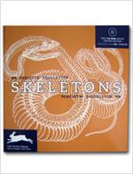 Skeletons