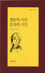 청동의 시간 감자의 시간 : 허수경 시집 표지 이미지