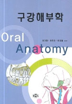 구강해부학 = Oral anatomy