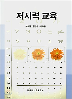 저시력 교육