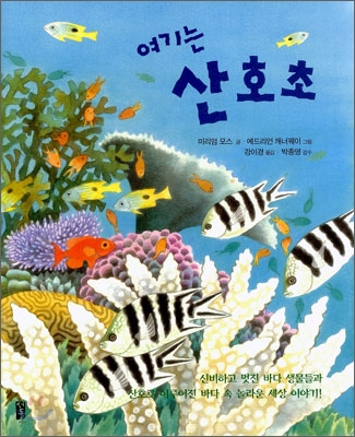 (여기는) 산호초 표지 이미지