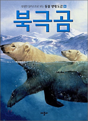북극곰 표지 이미지