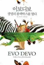 이보디보
