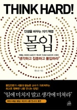 몰입