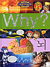 WHY? 뇌