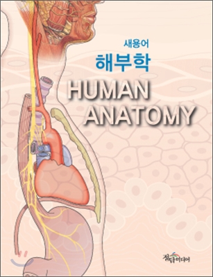 (새용어) 해부학 = Human anatomy