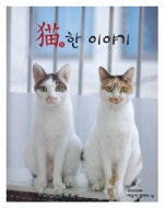 묘한 이야기
