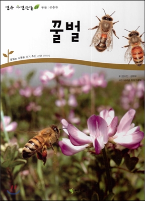 꿀벌