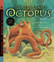 Gentle giant octopus