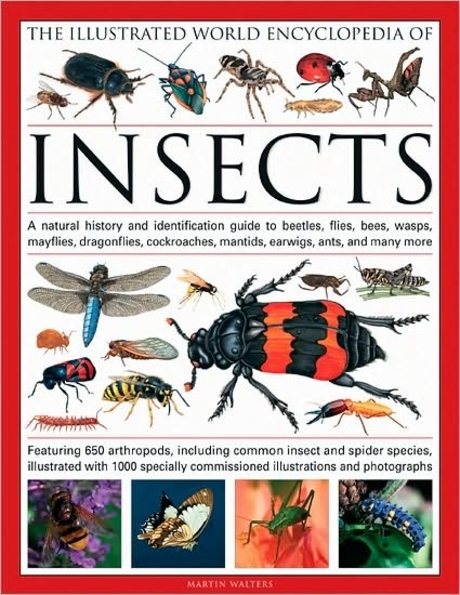 The Illustrated world encyclopedia of insects