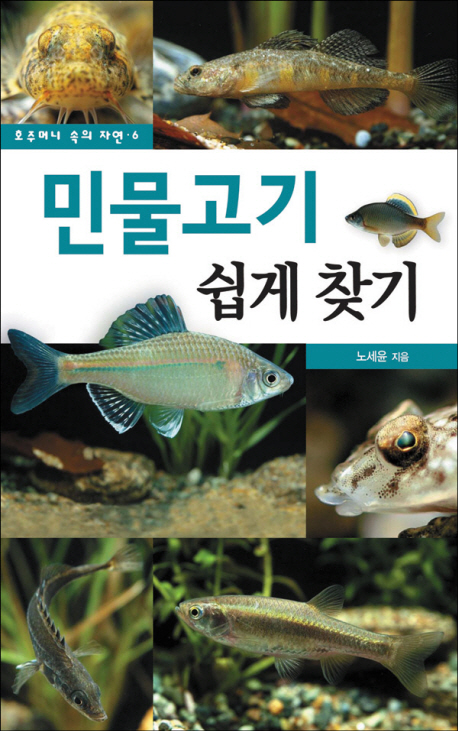 민물고기 쉽게 찾기