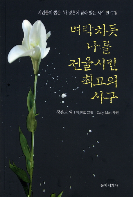 (시인들이 뽑은) 벼락치듯 나를 전율시킨 최고의 시구 표지 이미지