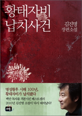 황태자비 납치사건: 김진명 장편소설 표지 이미지