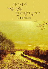 어디선가 나를 찾는 전화벨이 울리고 : 신경숙 장편소설 표지 이미지