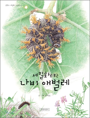 (세밀화로 보는)나비 애벌레 표지 이미지