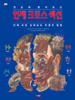 한눈에 펼쳐보는 인체 크로스 섹션