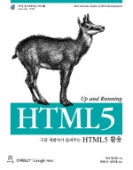 구글 개발자가 들려주는 HTML5 활용