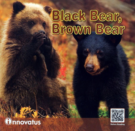 Black bear, brown bear