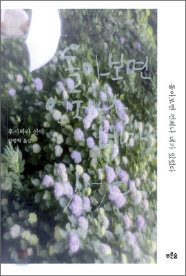 돌아보면 언제나 네가 있었다 표지 이미지