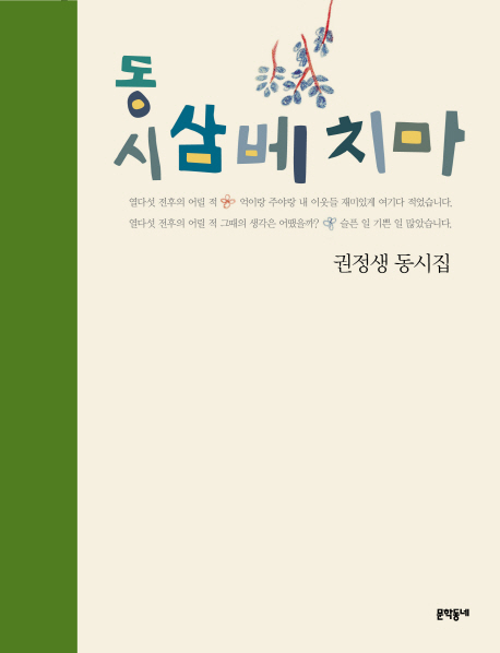 (동시) 삼베 치마 : 권정생 동시집 표지 이미지