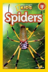 Spiders