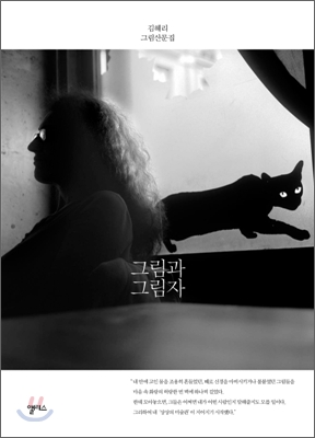 그림과 그림자 : 김혜리 그림산문집 표지 이미지