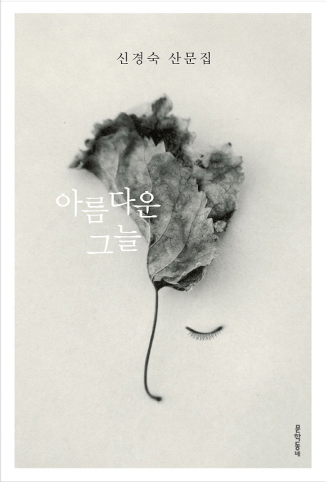 아름다운 그늘 : 신경숙 산문집 표지 이미지