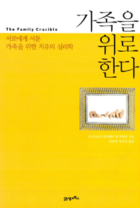 가족을 위로한다 : 서로에게 서툰 가족을 위한 치유의 심리학